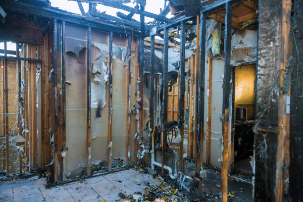 Professional Fire Damage Removal technician working in Walterboro, SC